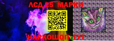 дмт Тара