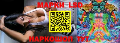 шишки Тверь