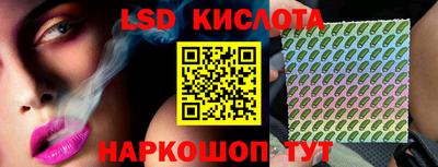 шишки Тверь