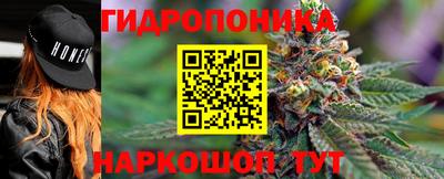 дмт Тара