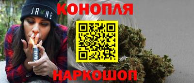 шишки Тверь