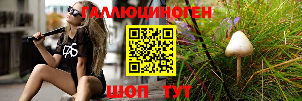 Псилоцибиновые грибы Magic Shrooms  Галлюциногенные грибы прущие грибы  хочу   Вход с VPN  Нижнеудинск 
